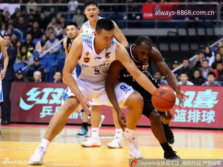 8868体育官网 vs 传统体育数据入口：效率差距到底有多大？